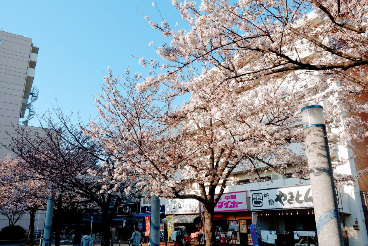 駒込店　昼営業開催中！！